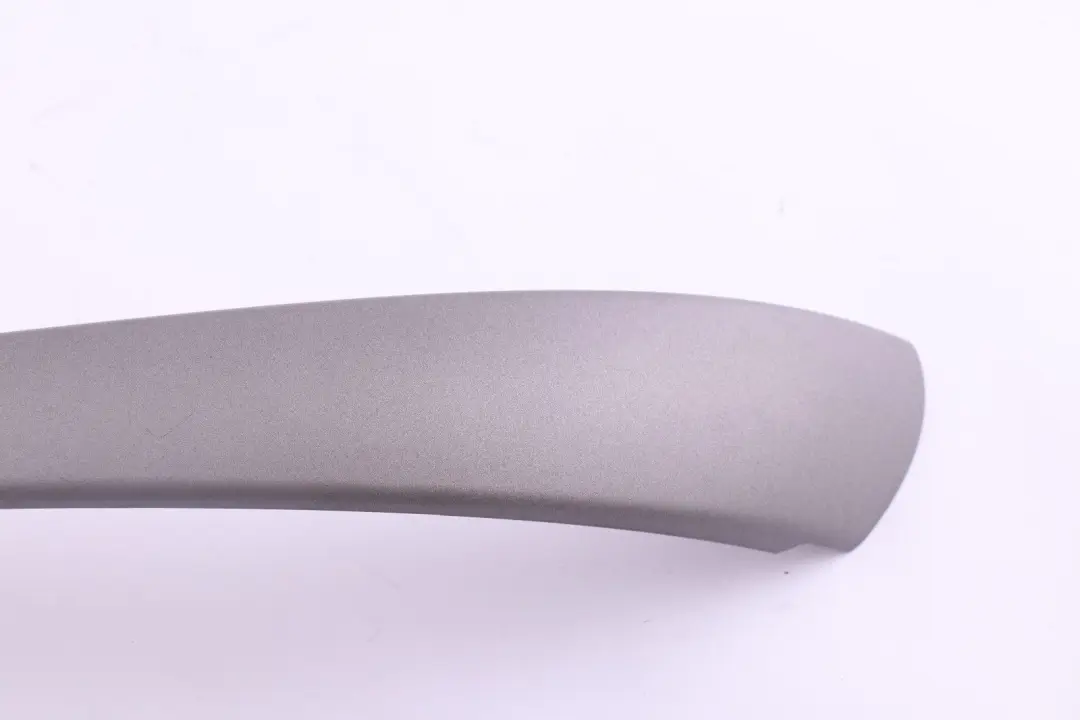 BMW E87 Striscia rivestimento interno maniglia porta destra Titan Matt - SKU 6962104 - Numero di parte 6962104