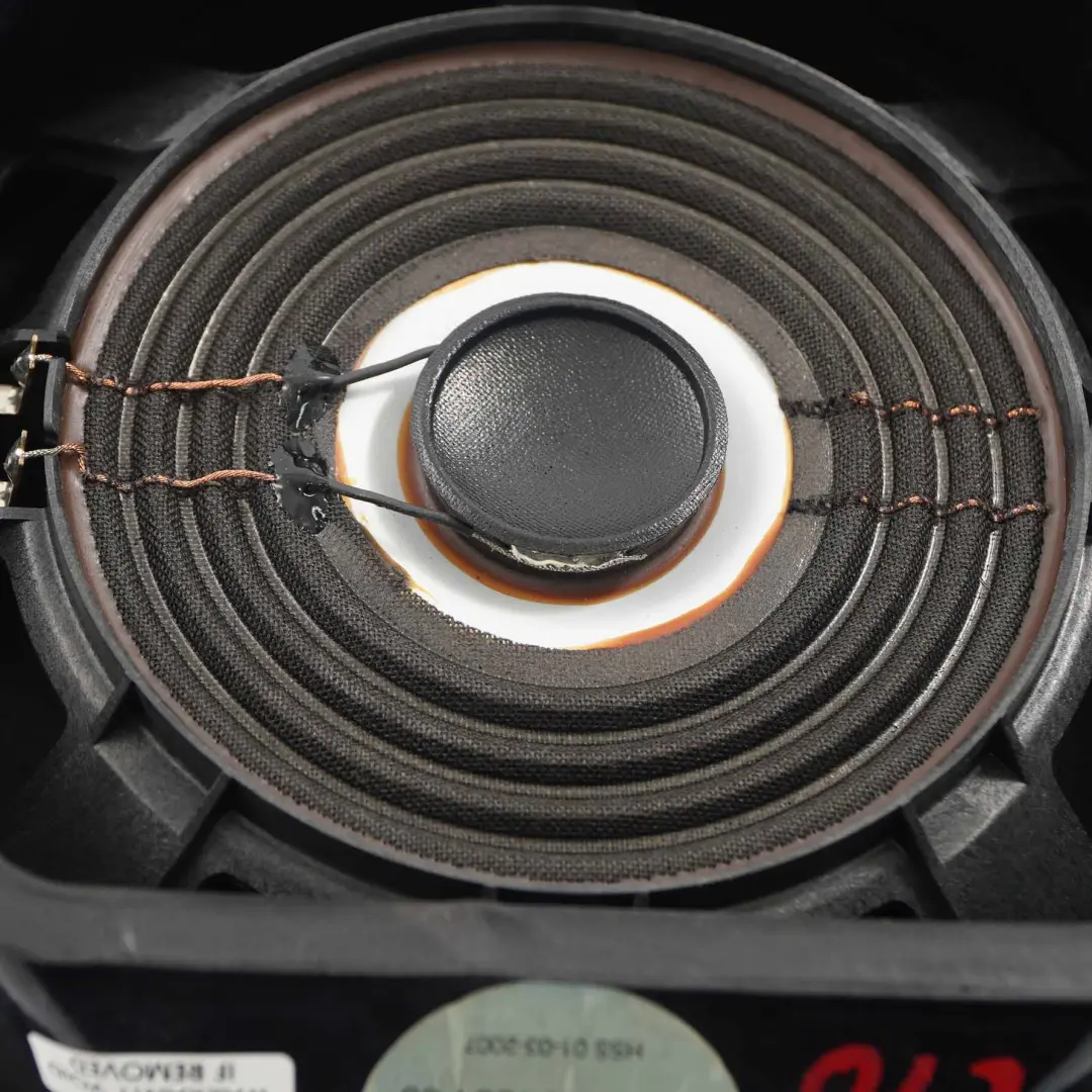 BMW X5 X6 Series E70 E71 Front Central Bass Subwoofer Speaker HiFi - SKU 6971884 - Part number 6971884