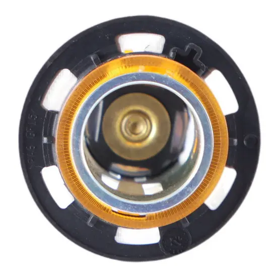 BMW Elemento Accenditore Originale Compatibile Con E81, E82, E87, F20 E Altri, Ricambio 61349308246