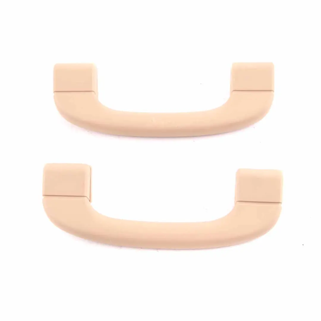 BMW X5 E70 Roof Grab Handle Interior Front Rear Left Right N/O/S Set - SKU 6977701 - Part number 6977701