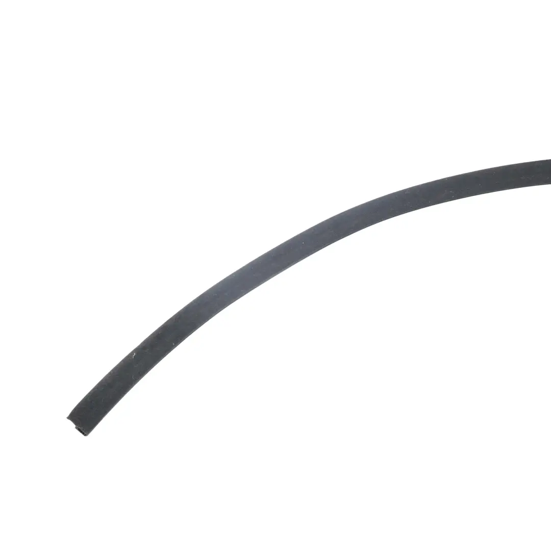 BMW E93 Convertible Cabrio Parcela Estante Sellado Labio Tira - SKU 6983931 - Número de pieza 6983931