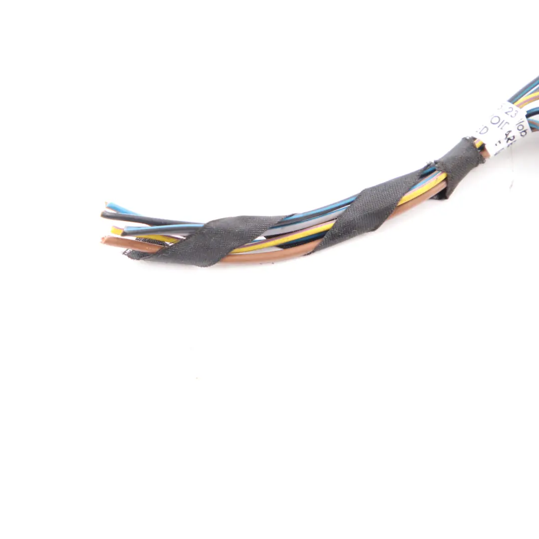 Lamp Light Side Panel Left N/S Plug Socket Wiring to BMW E92 Coupe Rear with Part number 6984754 BMW E92 Coupe Rear Lamp Light Side Panel Left N/S Plug Socket Wiring - SKU 6984754-13 - Part number 6984754