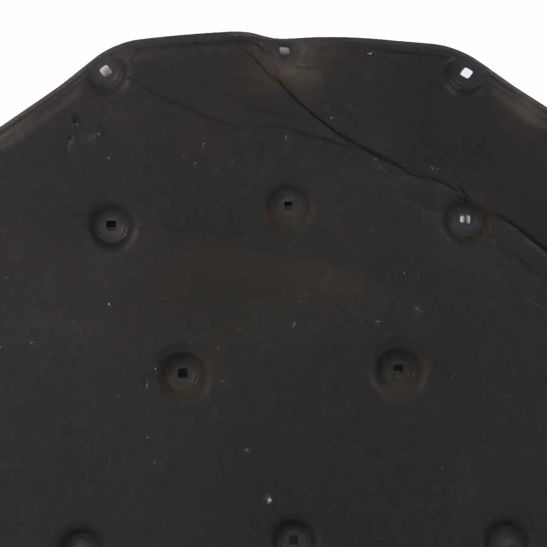 Hood Insulation Engine Panel Bonnet Covering Cover to BMW F01 F02 F04 with Part number 6989300 BMW F01 F02 F04 Hood Insulation Engine Panel Bonnet Covering Cover - SKU 6989300 - Part number 6989300