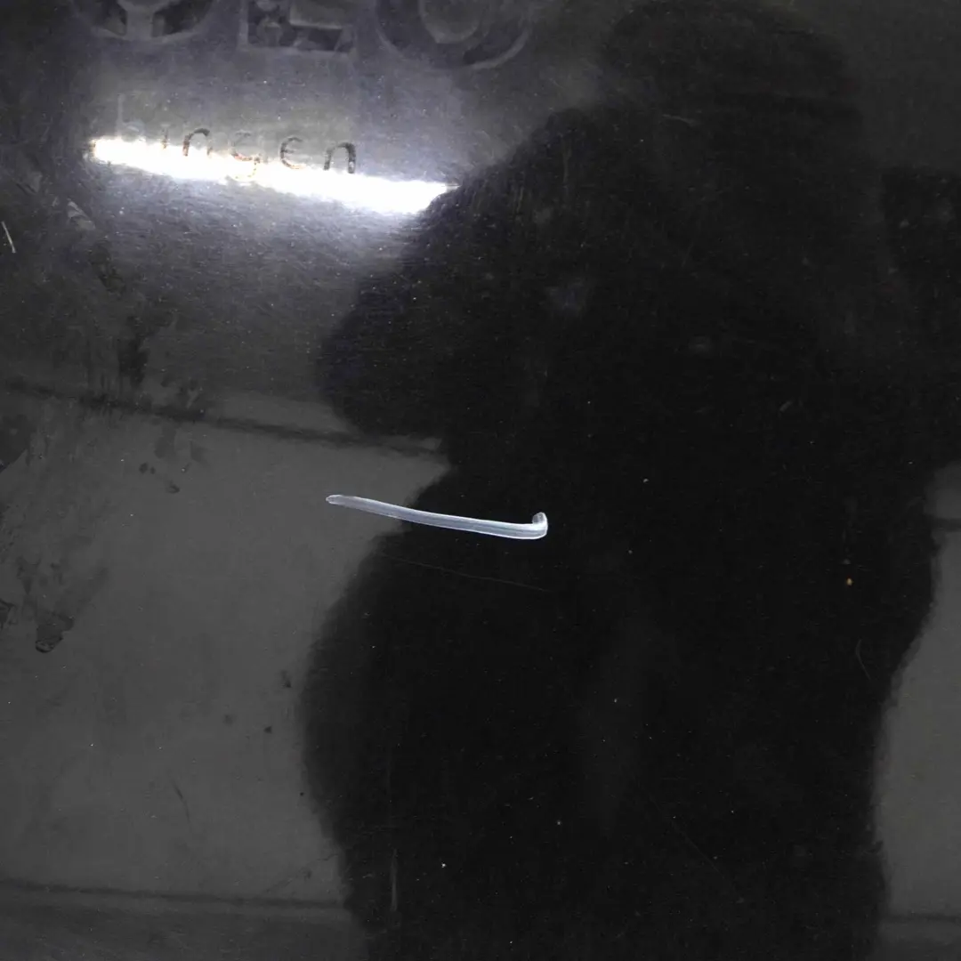 Klapa Bagażnika Black Magic LC9Z do VW Polo IV 9N o numerze 6Q6827025Q VW Polo IV 9N Klapa Bagażnika Black Magic LC9Z - SKU 6Q6827025Q-BLM - Numer Części 6Q6827025Q