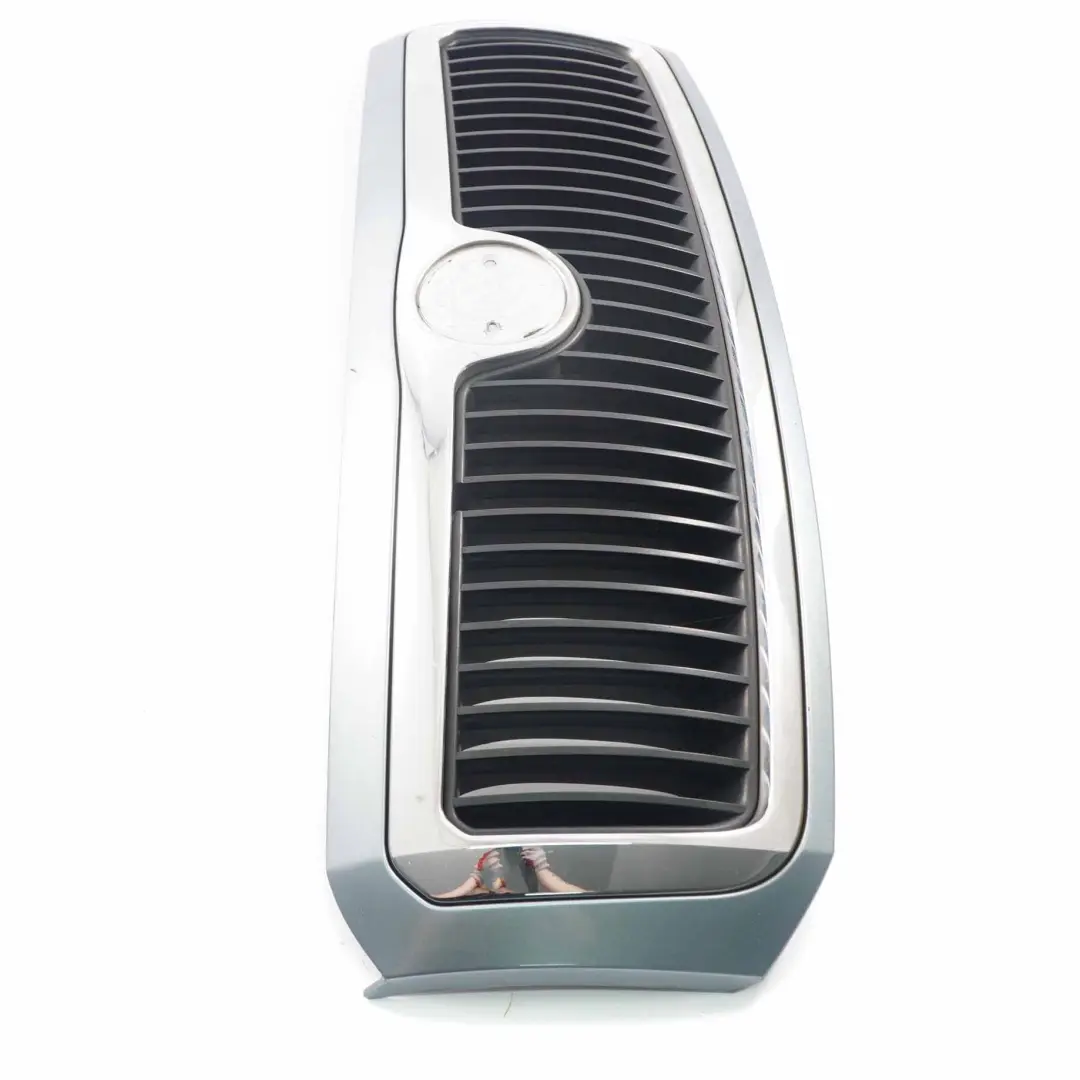 Skoda Fabia MK1 Cofano Radiatore Griglia Anteriore Pannello Pietra - SKU 6Y0853668 - Numero di parte 6Y0853668