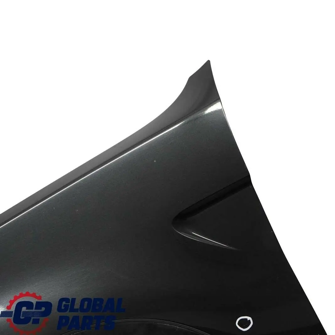 BMW X5 E53 Panel Lateral Guardabarros Delantero Izquierdo Negro Zafiro Metalico - SKU 7000385-BS3 - Número de pieza 7000385