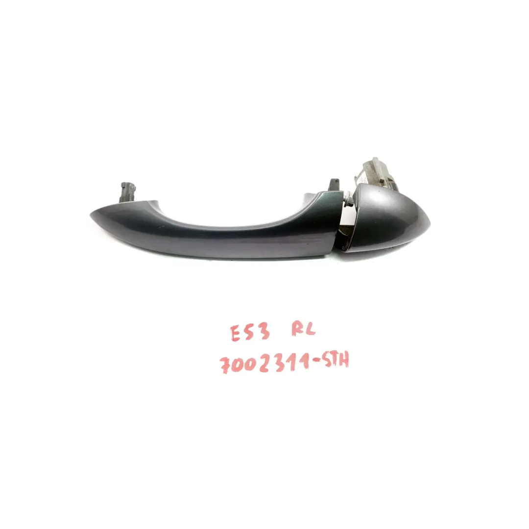 Front Rear Left Grab Handle Cover N/S Stahlgrau Steel Grey to BMW X5 Series E53 with Part number 7002311 BMW X5 Series E53 Front Rear Left Grab Handle Cover N/S Stahlgrau Steel Grey - SKU 7002311-STH - Part number 7002311
