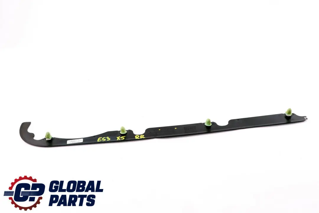 BMW X5 E53 Tapa Pintura Ranura Puerta Trasera Derecha - SKU 7002972 - Número de pieza 7002972