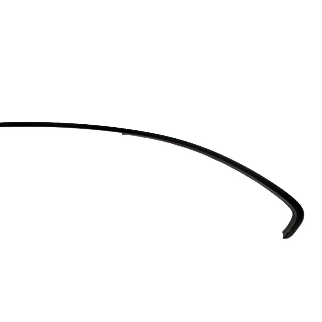 Roof Moulding Left N/S Trim Strip Cover Black to BMW E46 Coupe with Part number 7003935 BMW E46 Coupe Roof Moulding Left N/S Trim Strip Cover Black - SKU 7003935 - Part number 7003935