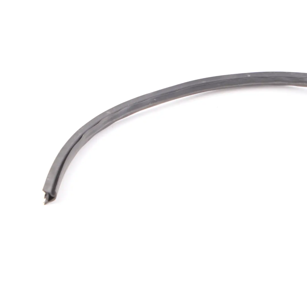 BMW X5 Serie E53 Portiera Anteriore Guarnizione Portiera Inferiore Sinistro - SKU 7004693 - Numero di parte 7004693