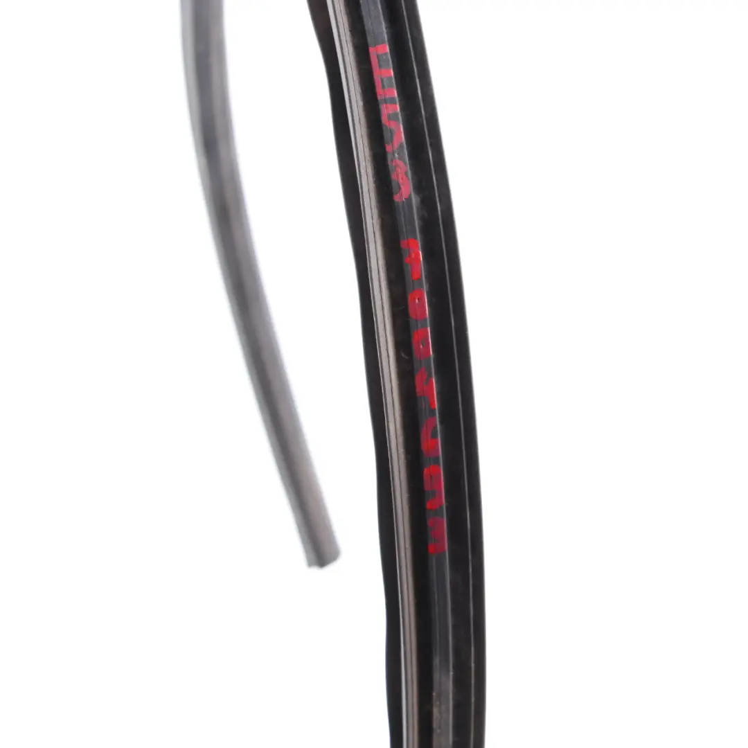 BMW X5 Serie E53 Portiera Anteriore Guarnizione Portiera Inferiore Sinistro - SKU 7004693 - Numero di parte 7004693