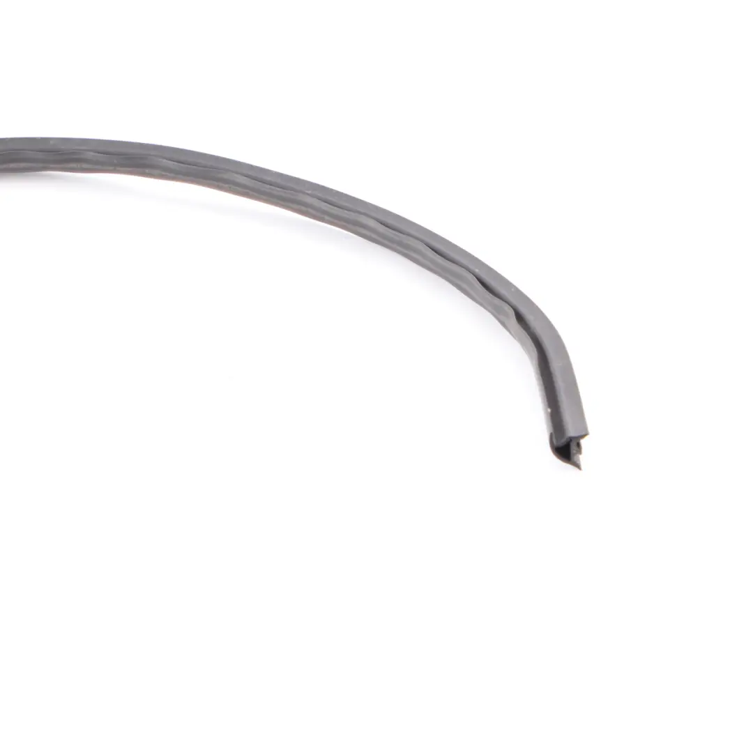 BMW X5 Series E53 Channel Cover Weather Strip Outer Door Front Left N/S Bottom - SKU 7004693 - Part number 7004693