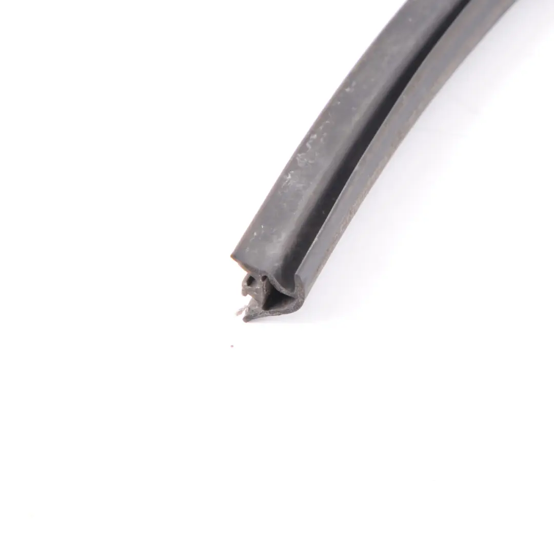 BMW X5 Series E53 Channel Cover Weather Strip Outer Door Front Left N/S Bottom - SKU 7004693 - Part number 7004693