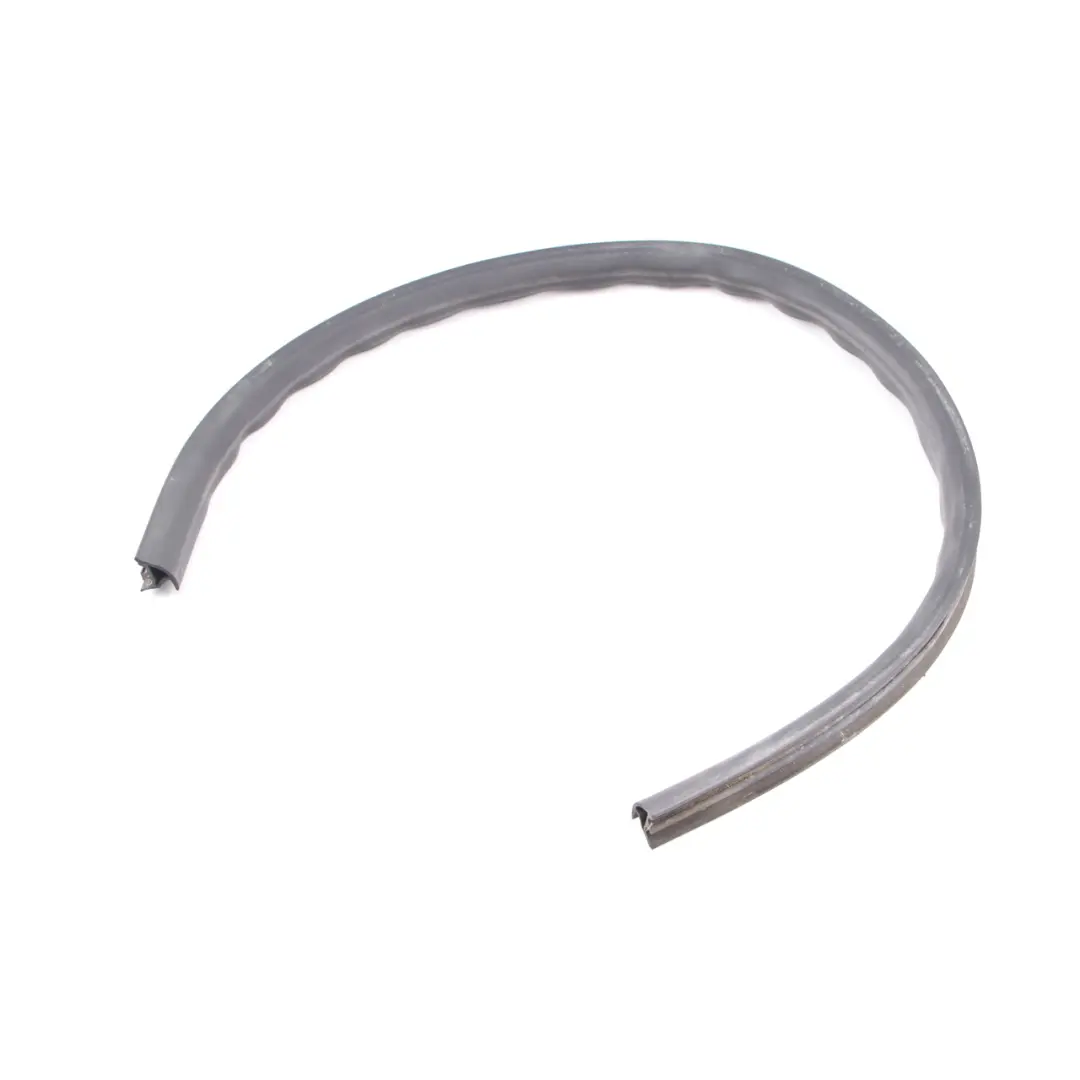 BMW X5 Serie E53 Portiera Anteriore Guarnizione Portiera Inferiore Sinistro - SKU 7004693 - Numero di parte 7004693
