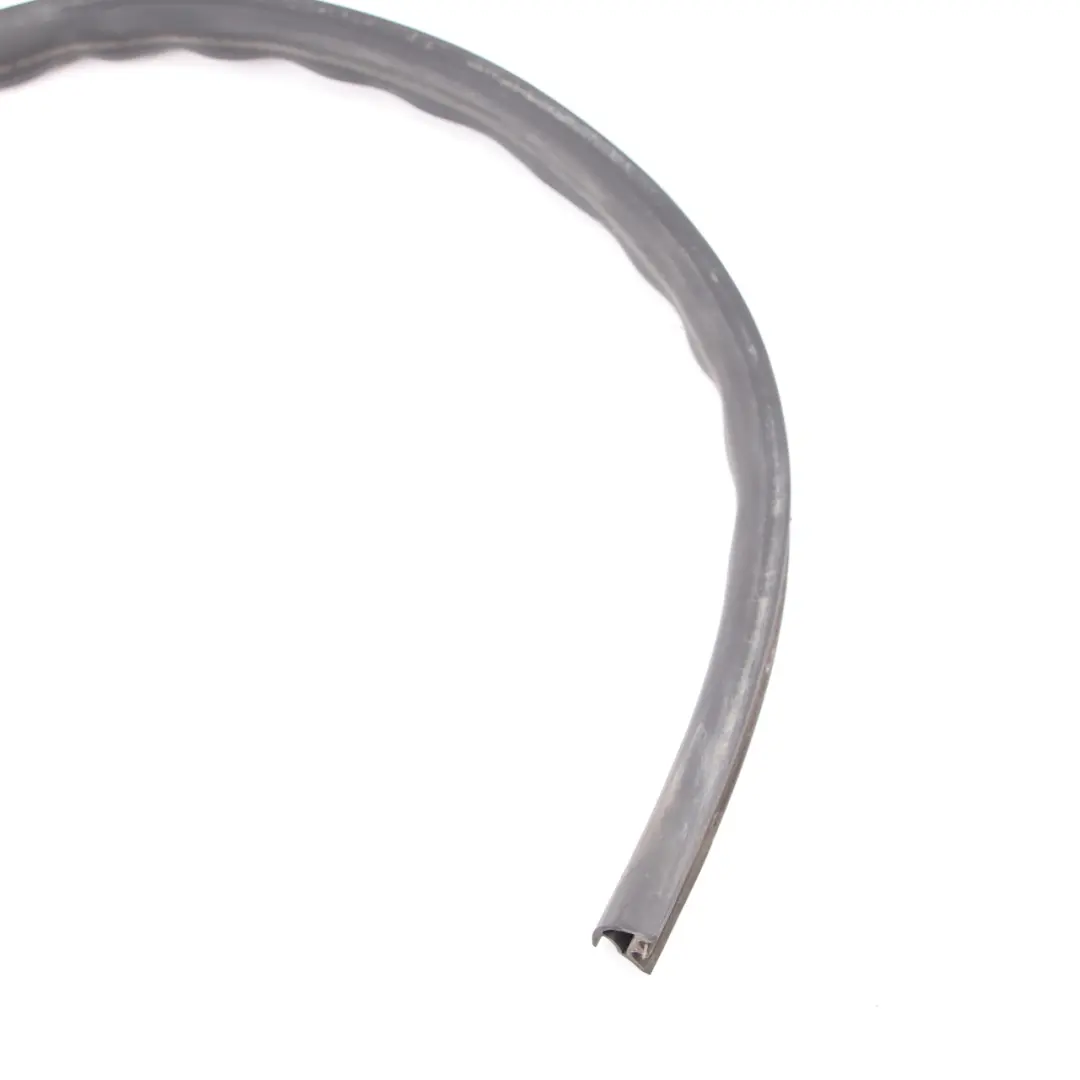BMW X5 Series E53 Channel Cover Weather Strip Outer Door Front Left N/S Bottom - SKU 7004693 - Part number 7004693
