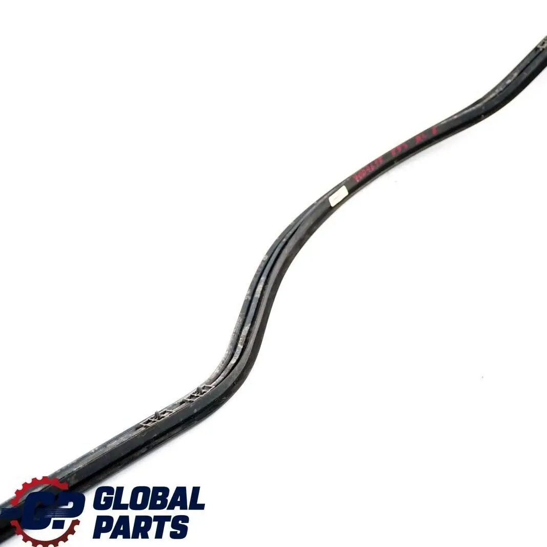 BMW X5 Series E53 Rear Left N/S Door Weatherstrip Seal Bottom Black - SKU 7004695 - Part number 7004695