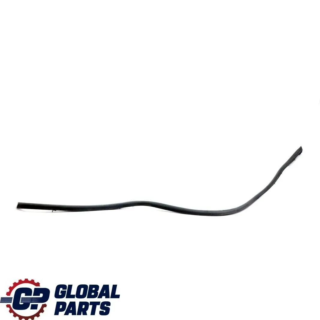 BMW E53 Puerta Trasera Izquierda Burlete Junta Inferior Negro - SKU 7004695 - Número de pieza 7004695