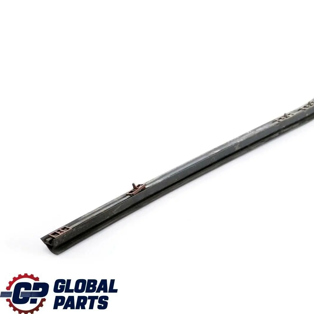 BMW E53 Puerta Trasera Izquierda Burlete Junta Inferior Negro - SKU 7004695 - Número de pieza 7004695