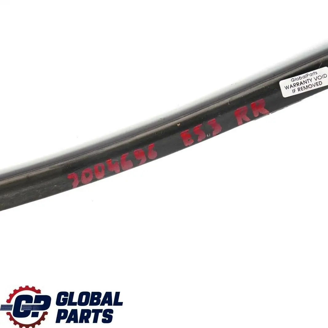 BMW X5 E53 Guarnizione Portiera Porta Posteriore Inferiore Dx Nero - SKU 7004696 - Numero di parte 7004696