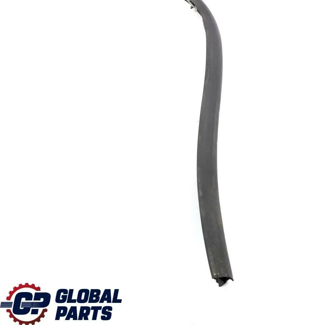 BMW X5 Series E53 Rear Right O/S Door Bottom Weatherstrip Seal Black - SKU 7004696 - Part number 7004696
