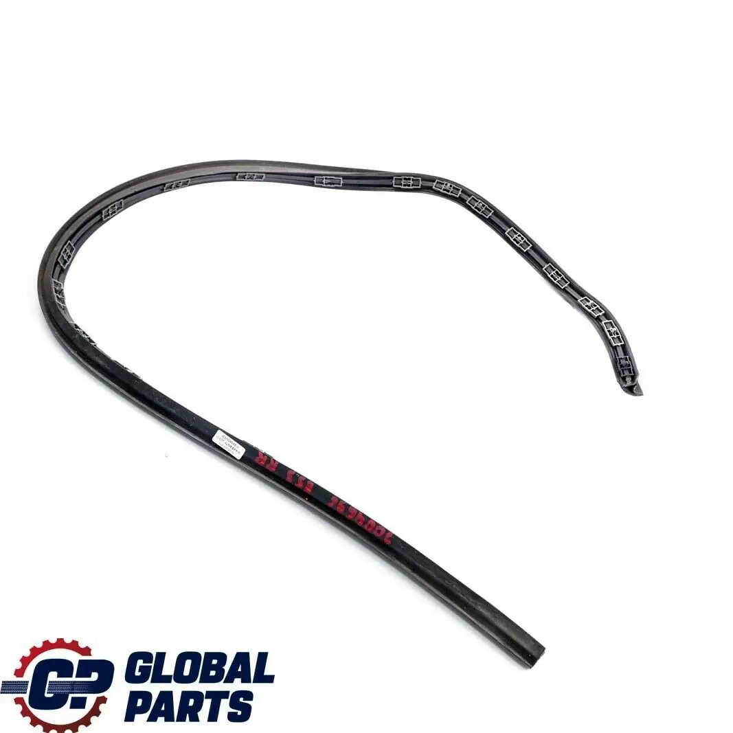 BMW X5 E53 Joint de Porte Dessous Arriere Droite Joint Noir - SKU 7004696 - Numéro de pièce 7004696