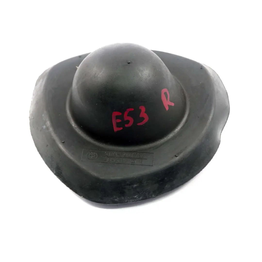 Hinterachsfederung Cap Revetement Amortisseur Droite pour BMW X5 E53 à propos du numéro de pièce 7007786 BMW X5 E53 Hinterachsfederung Cap Revetement Amortisseur Droite - SKU 7007786 - Numéro de pièce 7007786