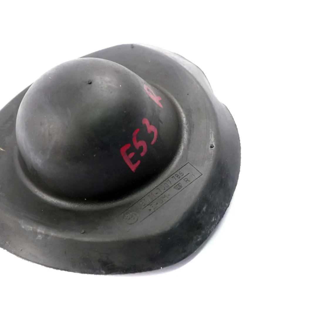 Hinterachsfederung Cap Revetement Amortisseur Droite pour BMW X5 E53 à propos du numéro de pièce 7007786 BMW X5 E53 Hinterachsfederung Cap Revetement Amortisseur Droite - SKU 7007786 - Numéro de pièce 7007786