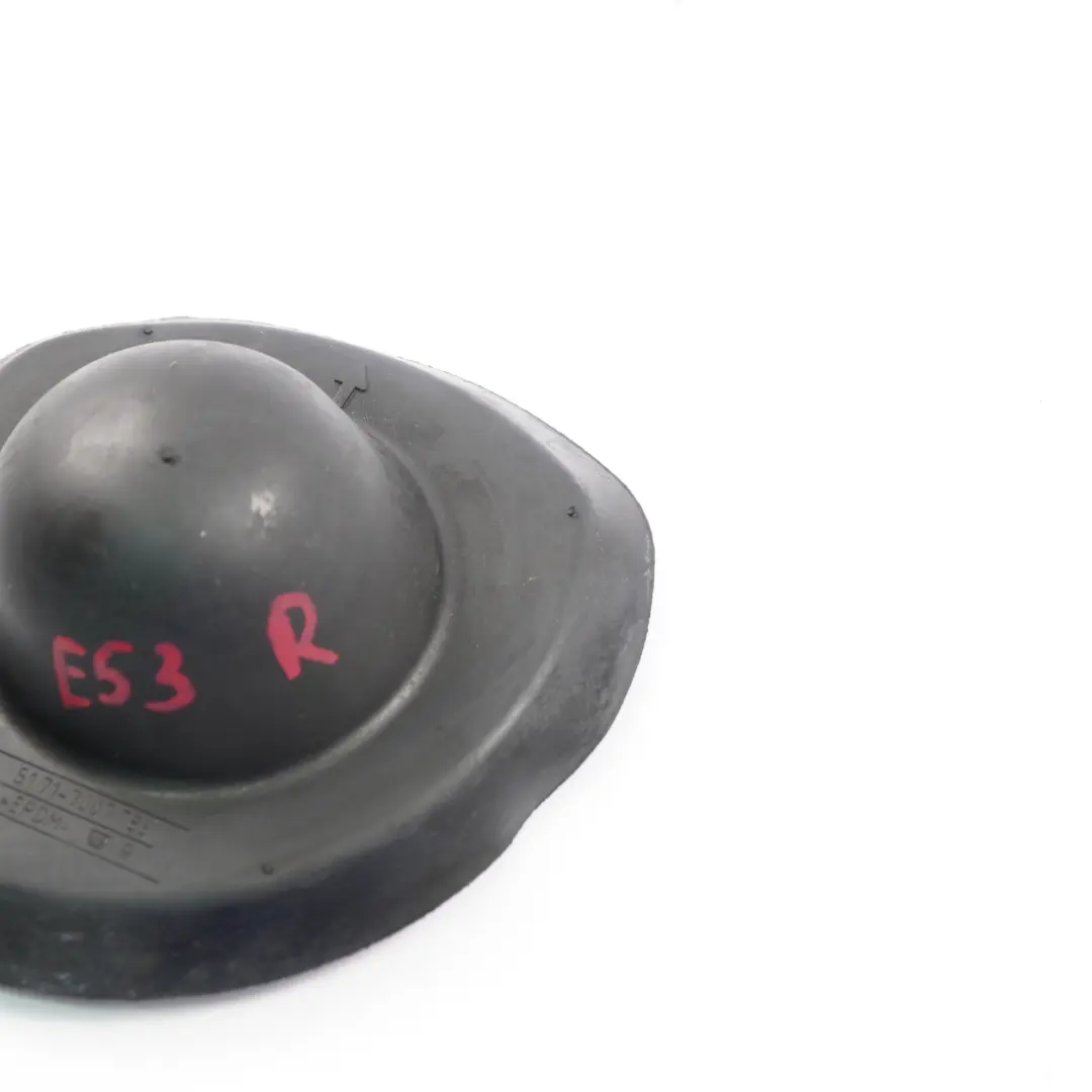 Trasero Strut Amortiguador Tronco Proteccion Tapa Derecha para BMW E53 con número de pieza 7007786 BMW E53 Trasero Strut Amortiguador Tronco Proteccion Tapa Derecha - SKU 7007786 - Número de pieza 7007786