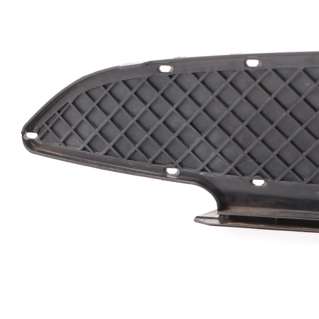 BMW Z4 E85 E86 Cache-grille inférieur de la prise d'air pare-chocs avant - SKU 7016061 - Numéro de pièce 7016061