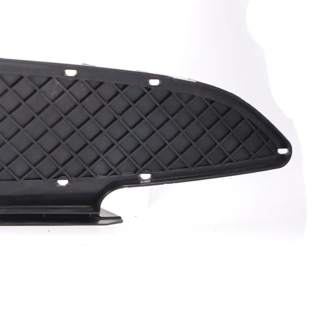 BMW Z4 E85 E86 Cache-grille inférieur de la prise d'air pare-chocs avant - SKU 7016061 - Numéro de pièce 7016061
