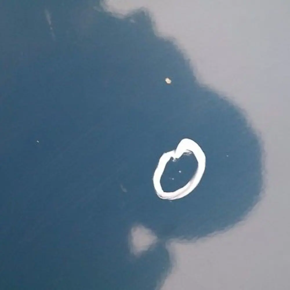 Spoiler Haut Bleu Topaze Bleu Metallique - 364 pour BMW X5 E53 à propos du numéro de pièce 51717025612 BMW X5 E53 Spoiler Haut Bleu Topaze Bleu Metallique - 364 - SKU 7025612-TPB2 - Numéro de pièce 51717025612