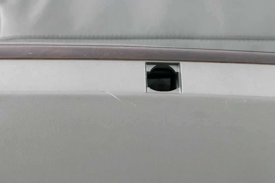 BMW 7 Reihe E65 Türverkleidung Leder hinten rechts Flanellgrau Grau - SKU 7038710-2 - Teilenummer 7038710