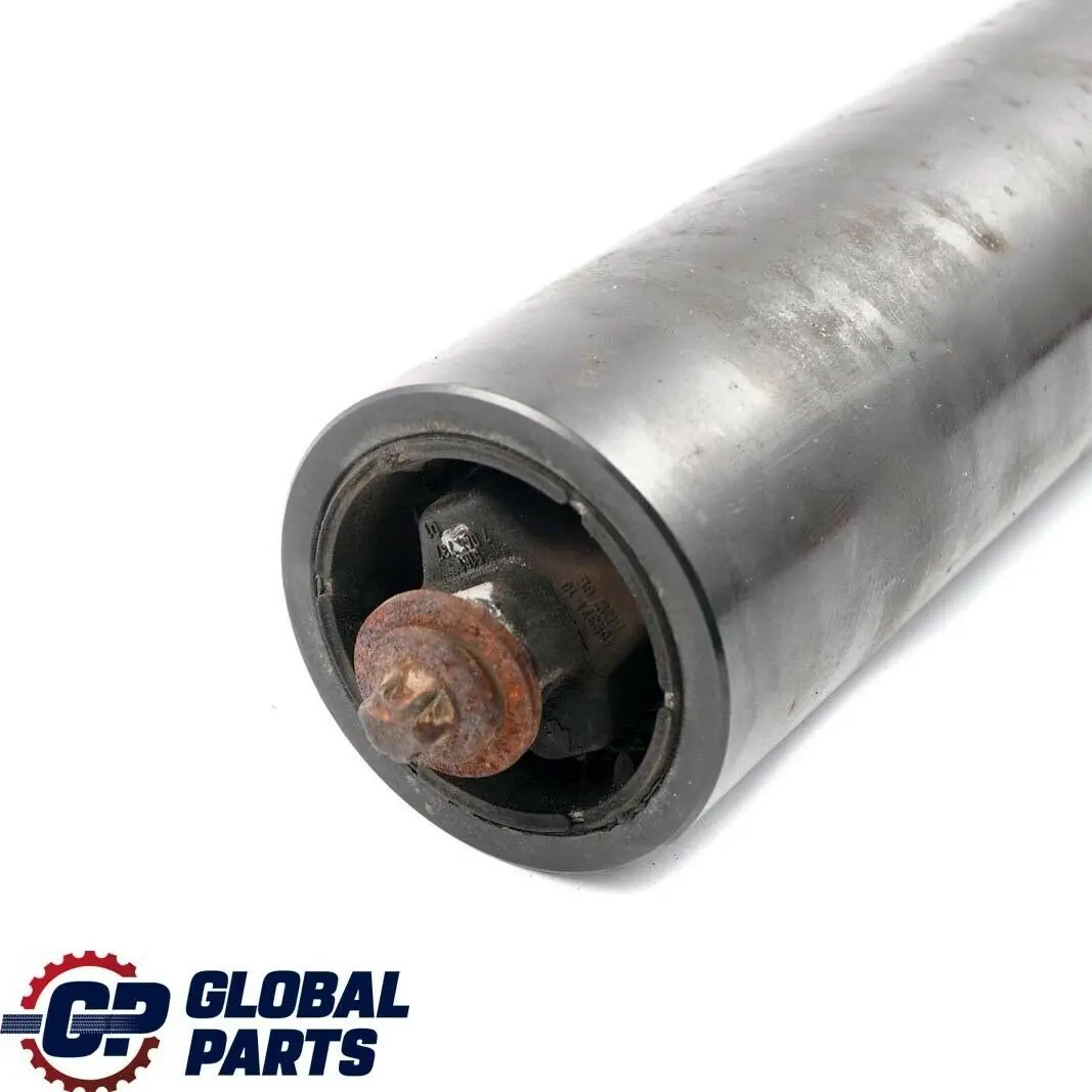 Eje Trasero Suspension Vibracion Absorbedor para BMW E64 Convertible con número de pieza 7045737 BMW E64 Convertible Eje Trasero Suspension Vibracion Absorbedor - SKU 7045737 - Número de pieza 7045737