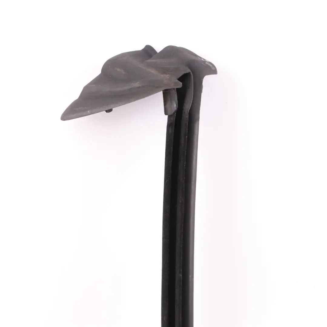 Burlete Exterior Izquierdo Junta Sello para BMW Serie Z4 E89 Cabrio con número de pieza 7046125 BMW Serie Z4 E89 Cabrio Burlete Exterior Izquierdo Junta Sello - SKU 7046125 - Número de pieza 7046125