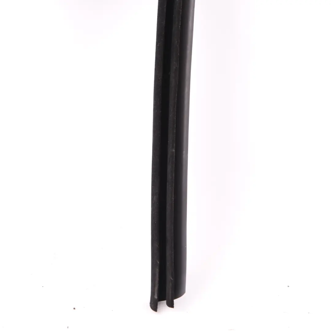 BMW Z4 E89 Cabrio Paraurti Esterno Sinistro Guarnizione - SKU 7046125 - Numero di parte 7046125