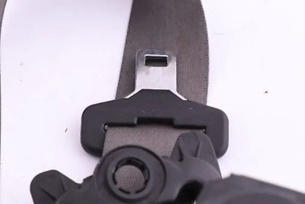 Reihe E53 Obergurt hinten rechts Grau Grey 7211 für BMW X5 mit Teilenummer 7051512 BMW X5 Reihe E53 Obergurt hinten rechts Grau Grey 7211 - SKU 7051512 - Teilenummer 7051512