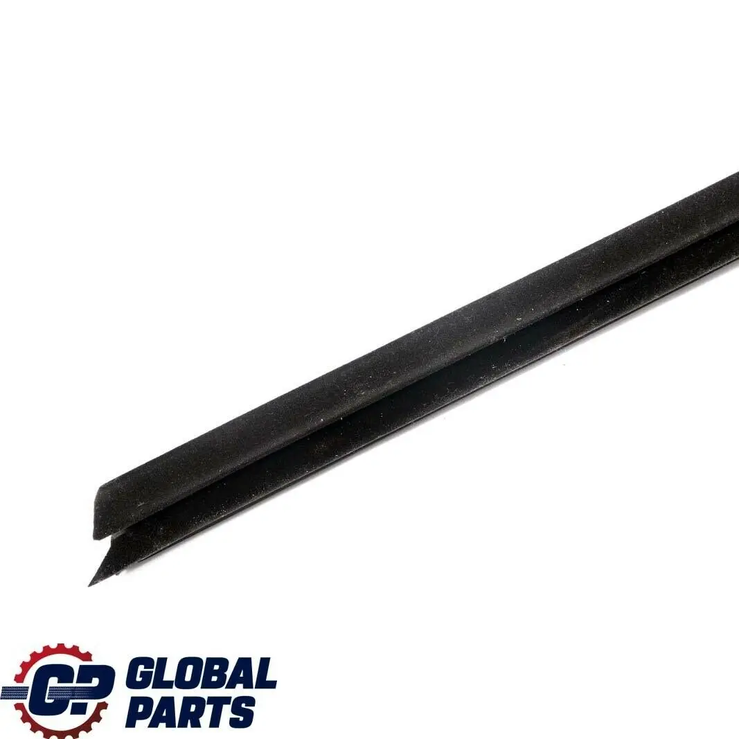 BMW E90 E90N E91 E91N Canal Sellado Interior Puerta Delantera Izquierda - SKU 7060233 - Número de pieza 7060233