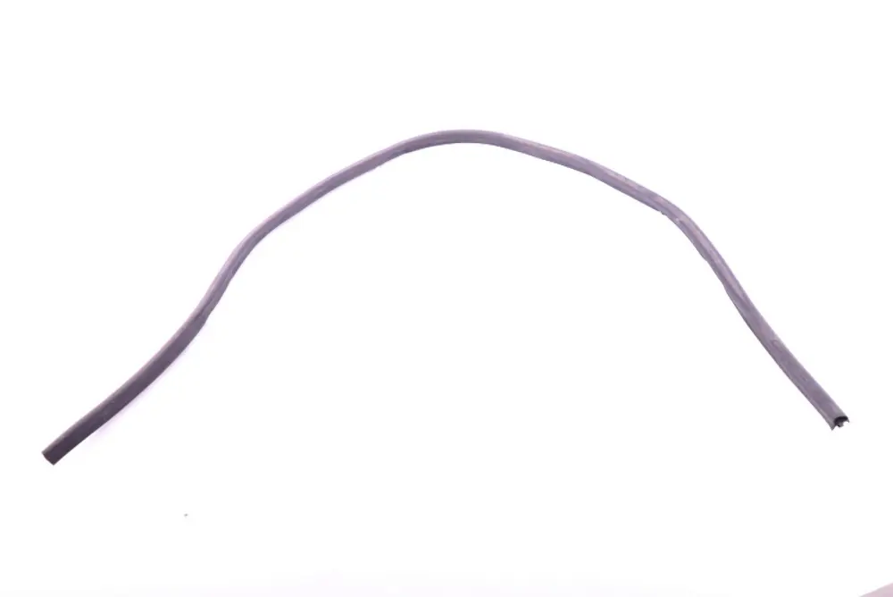 Chiusura Ermetica Aggregateraum Frontale per BMW E81 E82 E87 E87N E88 con numero di parte 7060562 BMW E81 E82 E87 E87N E88 Chiusura Ermetica Aggregateraum Frontale - SKU 7060562 - Numero di parte 7060562