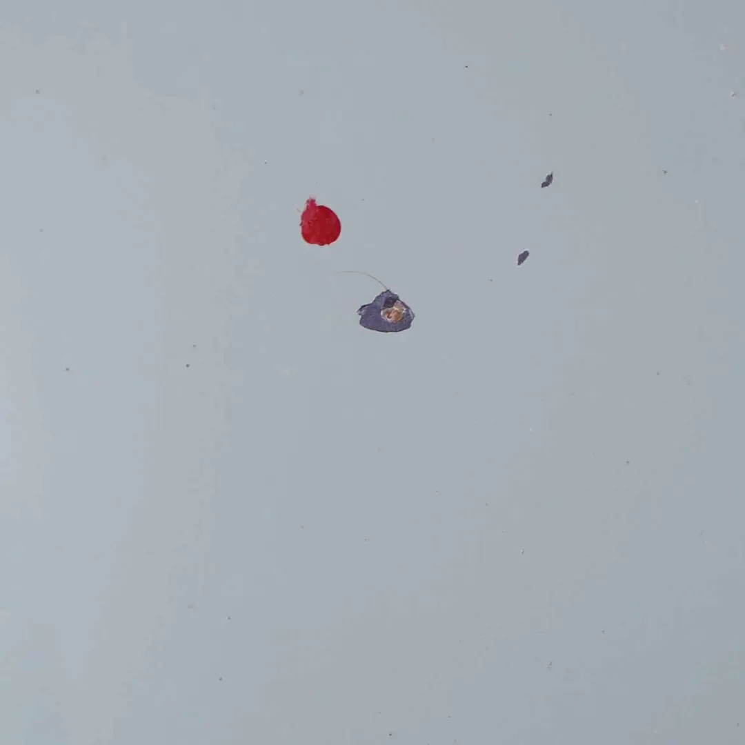 Maska Pokrywa Silnika Niebieska do Mini R50 R52 o numerze 7067753 Mini R50 R52 Maska Pokrywa Silnika Niebieska - SKU 7067753-BLUE - Numer Części 7067753