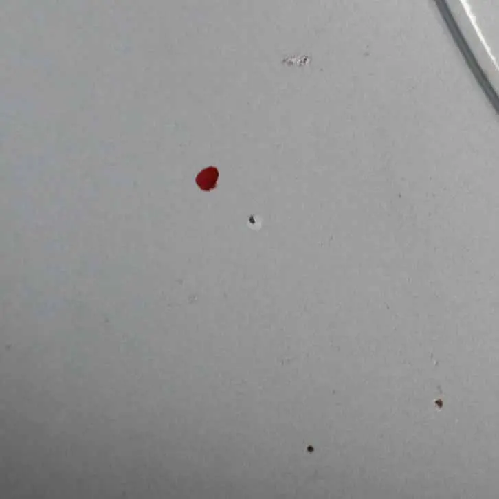 Maska Silnika Pure Silver Metallic - 900 do Mini R50 o numerze 7067753 Mini R50 Maska Silnika Pure Silver Metallic - 900 - SKU 7067753-PS - Numer Części 7067753