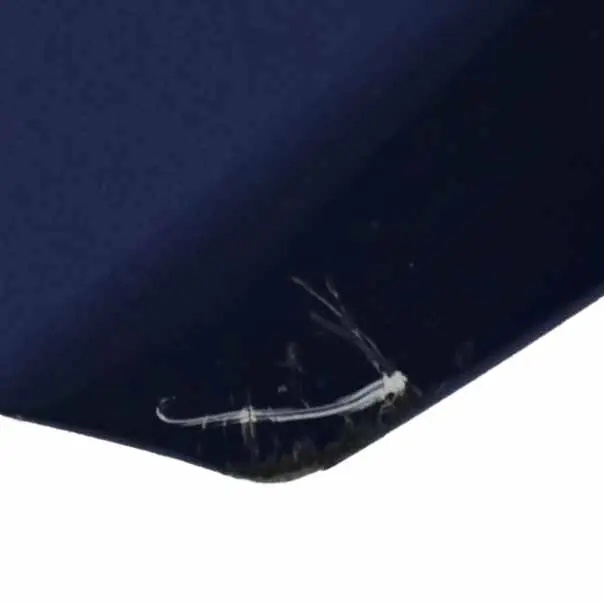 BMW Z4 E85 Klapa Bagażnika Montegoblau Blue - A51 - SKU 7068277-MTB - Numer Części 7068277