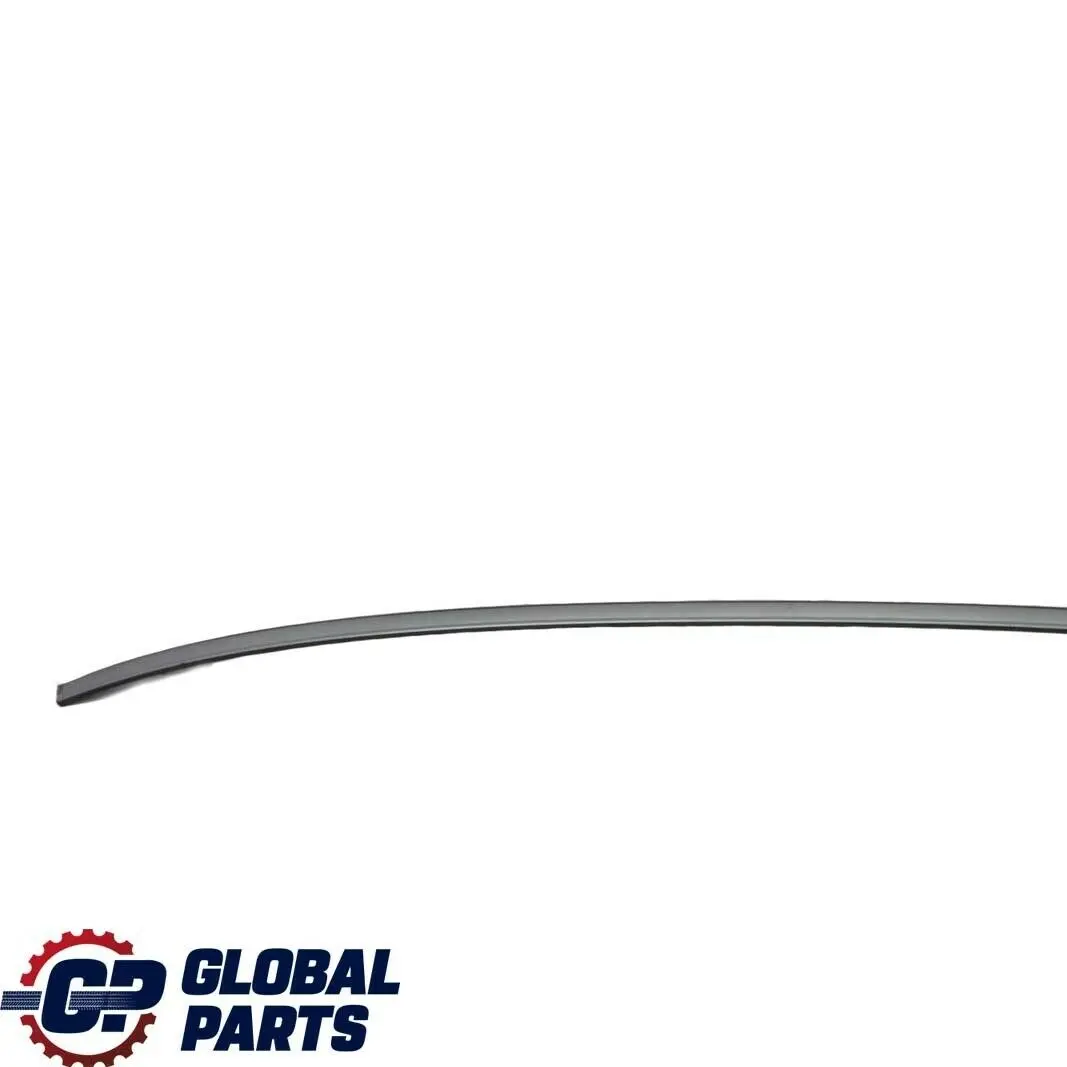 BMW E60 Roof Moulding Railing Gutter Rail Left N/S Silbergrau Grey - SKU 7070195-SBG - Part number 7070195