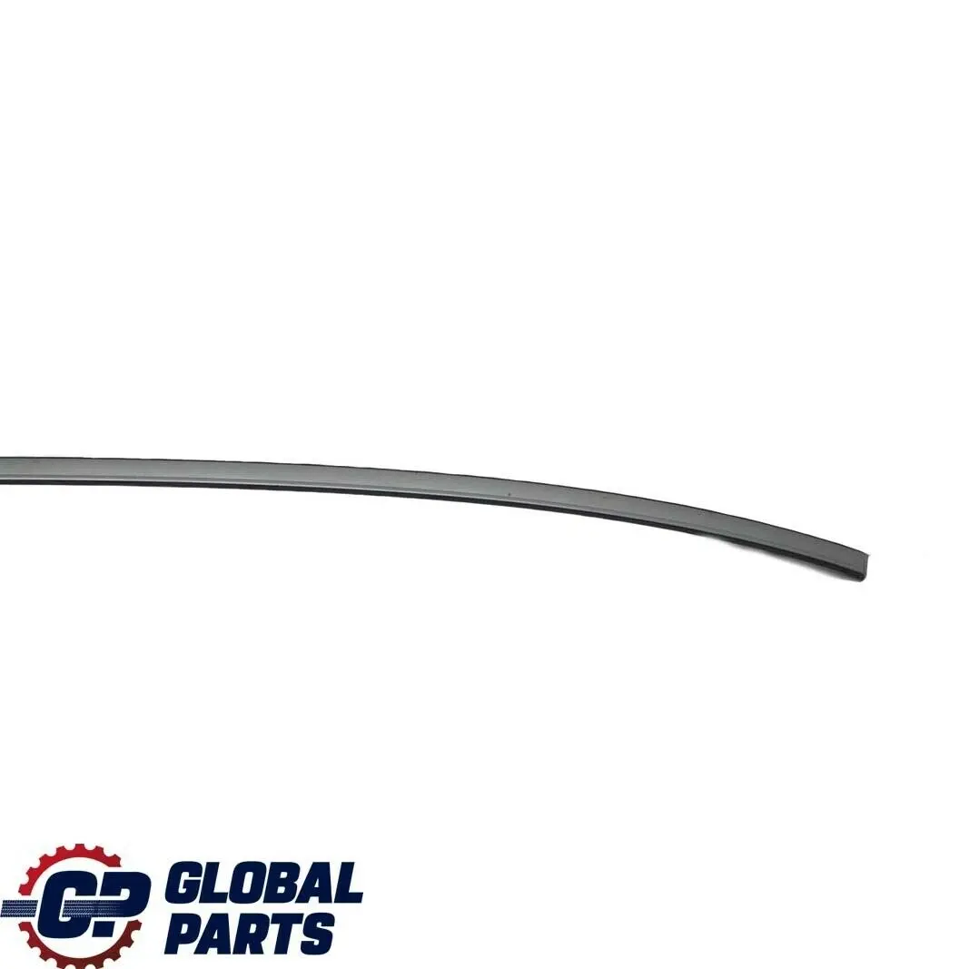 BMW E60 Roof Moulding Railing Gutter Rail Left N/S Silbergrau Grey - SKU 7070195-SBG - Part number 7070195