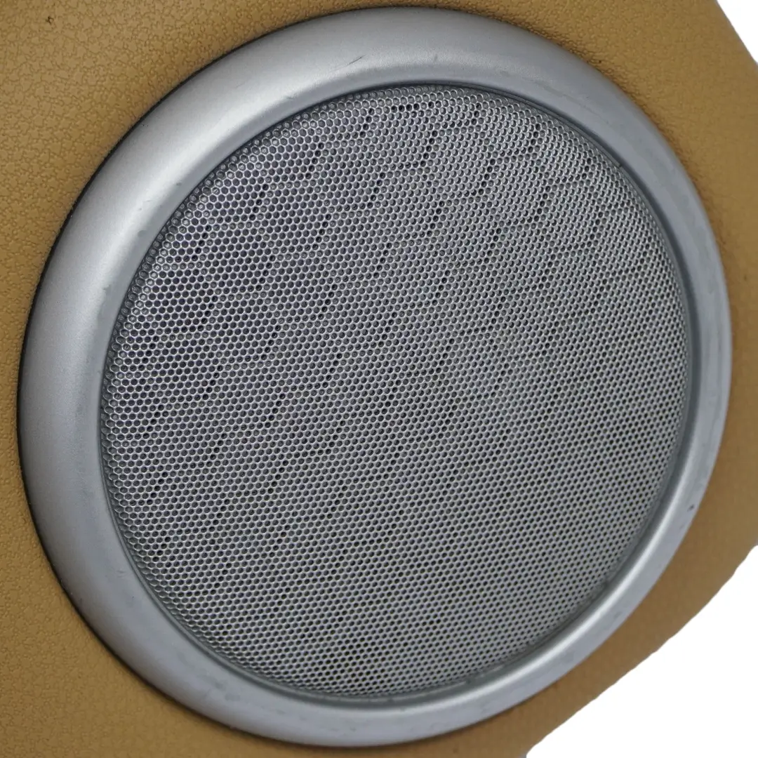 Mini R50 R53 Turverkleidung Dekor Vorn Links Cordoba Beige Silber - SKU 7070605 - Teilenummer 7070605