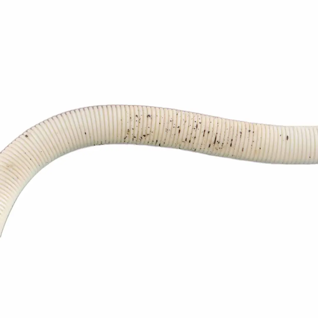 Tubo Riempimento Contenitore Lavaggio per BMW E81 E82 E84 E87 E88 E90 E91 con numero di parte 7075099 BMW E81 E82 E84 E87 E88 E90 E91 Tubo Riempimento Contenitore Lavaggio - SKU 7075099-4 - Numero di parte 7075099