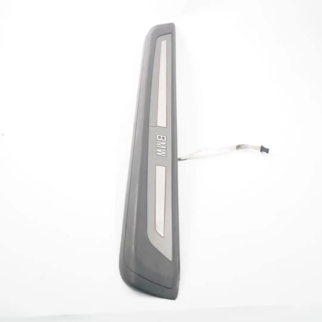 BMW E63 E64 Lichtabdeckung Leiste Eingang Innenraum Titan Dunkel Links - SKU 7079959-1 - Teilenummer 7079959