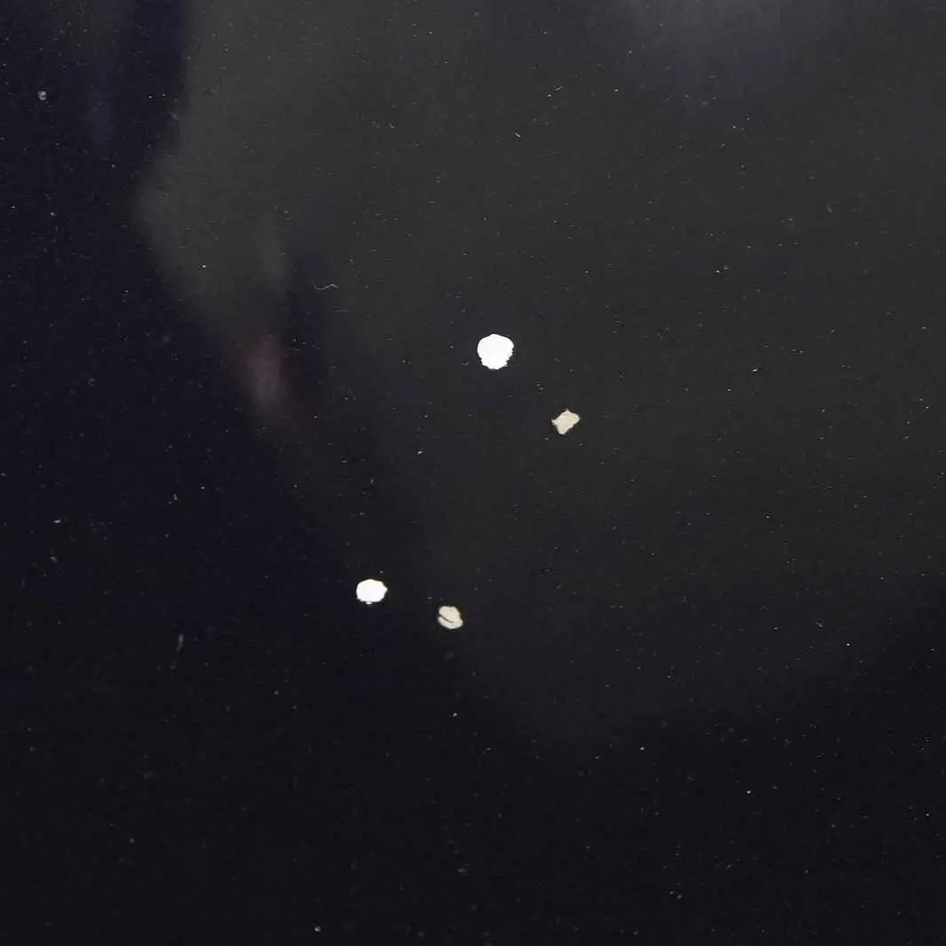 Hood Bonnet Cover Panel Monacoblau Blue Metallic - A35 to BMW E60 with Part number 7111385 BMW E60 Hood Bonnet Cover Panel Monacoblau Blue Metallic - A35 - SKU 7111385-MB2 - Part number 7111385