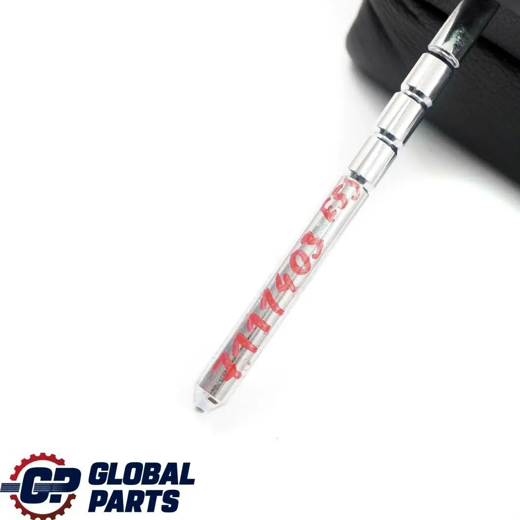 Siege Avant Appui-Tete Gauche Droite Cuir Dakota Noir pour BMW X5 Serie E53 à propos du numéro de pièce 7111403 BMW X5 Serie E53 Siege Avant Appui-Tete Gauche Droite Cuir Dakota Noir - SKU 7111403 - Numéro de pièce 7111403