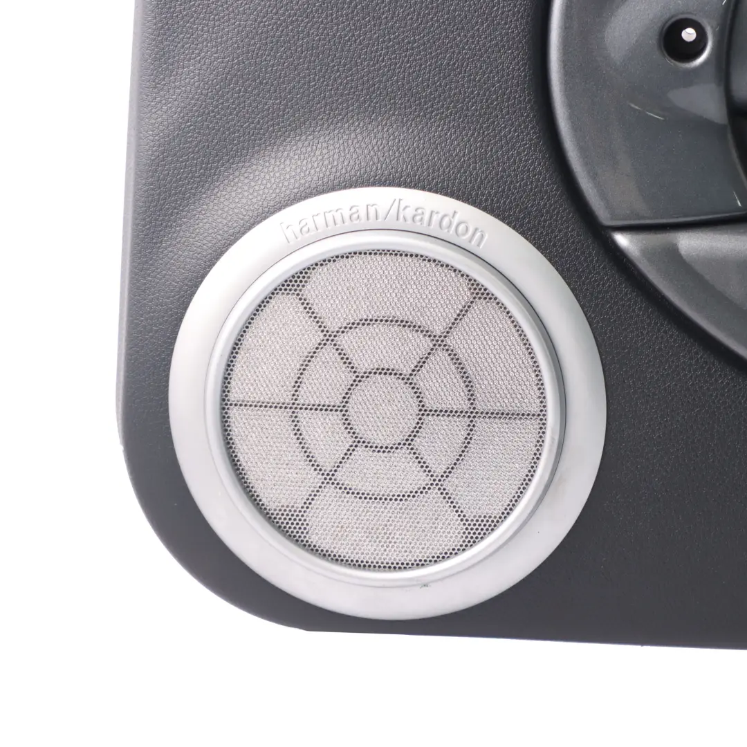 Mini R50 R53 Türverkleidung Dekor Vorn Rechts Schwarz Anthrazit - SKU 7113432-3 - Teilenummer 7113432