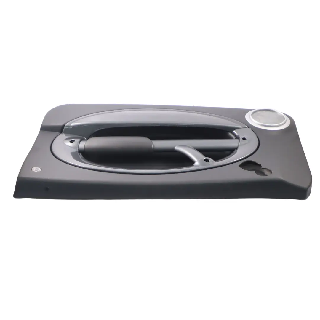 Mini R50 R53 Türverkleidung Dekor Vorn Rechts Schwarz Anthrazit - SKU 7113432-3 - Teilenummer 7113432